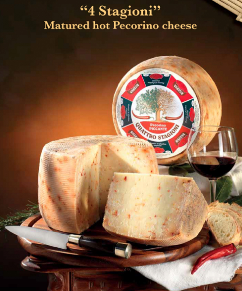 Authentic%20Hot%20Matured%20Pecorino%20Cheese%20from%20Italy,%20Calabria