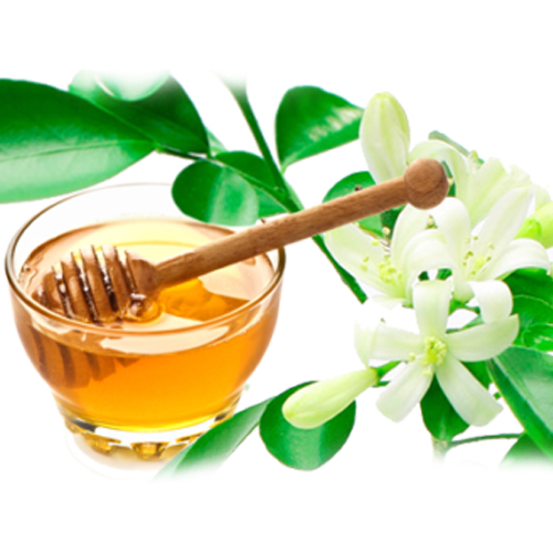 Orange%20Blossom%20Calabrian